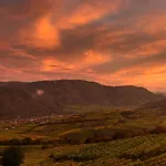 Weinbergblick Appartement *