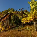 Appartement Weinbergblick *