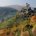 Weinbergblick *
