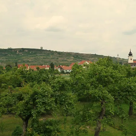Weinbergblick Rohrendorf bei Krems