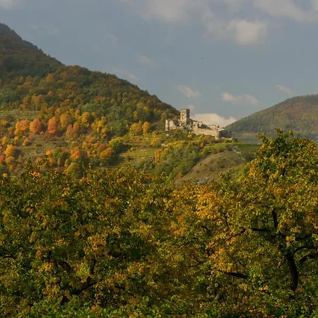 Weinbergblick