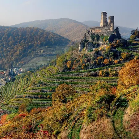 Weinbergblick *
