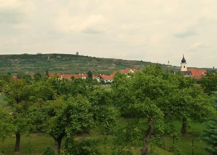 Weinbergblick Rohrendorf bei Krems