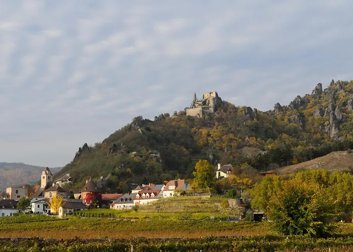 Weinbergblick * Rohrendorf bei Krems