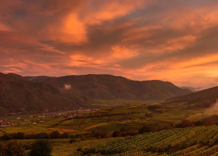 Weinbergblick Appartement *