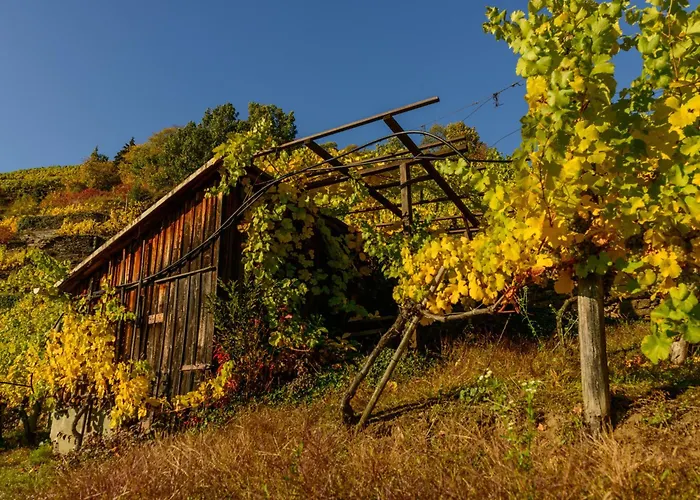 Appartement Weinbergblick *